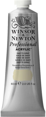 Winsor & Newton Professional Acrylic Colour - Tube of 60 ML - Davy's Gray (217)(Set of 1, Davy's Gray)