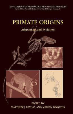 Primate Origins(English, Electronic book text, Ravosa Matthew J)