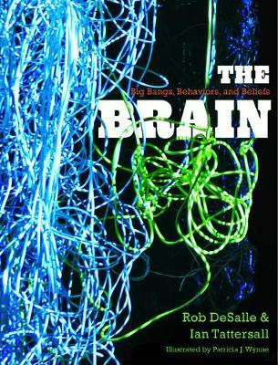 The Brain(English, Electronic book text, DeSalle Rob Professor PH.D.)