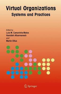 Virtual Organizations(English, Electronic book text, Camarinha-Matos Luis)