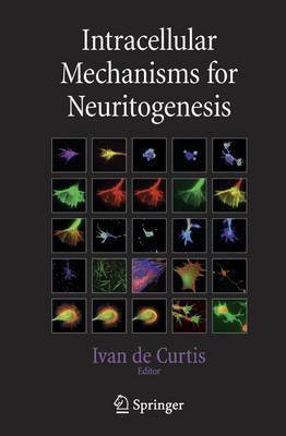 Intracellular Mechanisms for Neuritogenesis(English, Electronic book text, De Curtis Ivan)