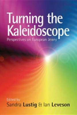 Turning the Kaleidoscope(English, Electronic book text, unknown)