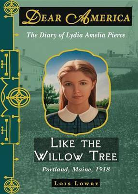 Dear America(English, Electronic book text, Lowry Lois)