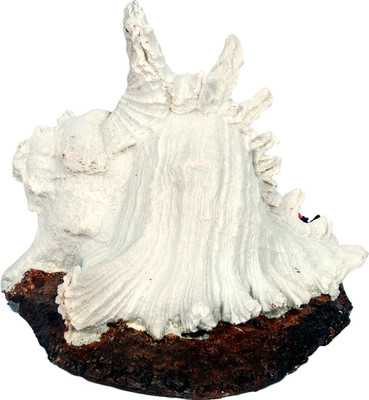 

Aquapetzworld Large Conch Shell(Shunkh) White Branched Murex Fish Tank Home Ornament Landscape Laterite Unplanted Substrate(White)