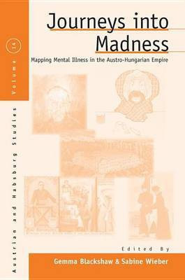 Journeys Into Madness(English, Electronic book text, unknown)