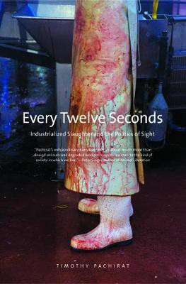 Every Twelve Seconds(English, Electronic book text, Pachirat Timothy)