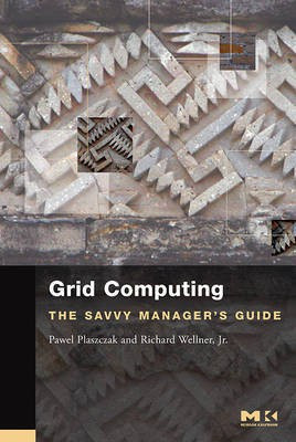 Grid Computing(English, Electronic book text, Jr. Plaszczak Pawel)