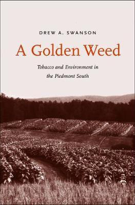 A Golden Weed(English, Electronic book text, Dr Swanson Drew A)