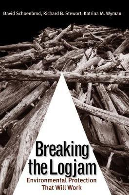 Breaking the Logjam(English, Electronic book text, Professor Schoenbrod David)
