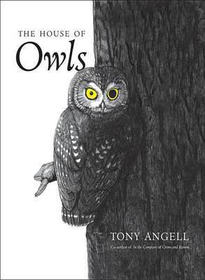 The House of Owls(English, Electronic book text, Angell Tony MR)