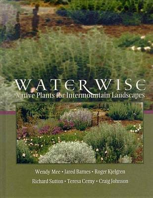 Water Wise(English, Electronic book text, Mee Wendy)