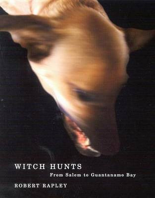 Witch Hunts(English, Electronic book text, Rapley Robert)