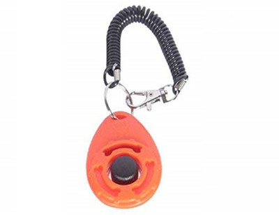 

Futurekart Plastic Training Aid For Dog