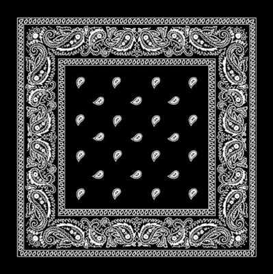 Bismaadh Boys & Girls, Baby Boys & Baby Girls, Men & Women Printed Bandana