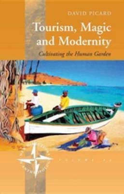 Tourism, Magic and Modernity(English, Electronic book text, Picard David)