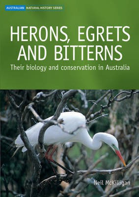 Herons, Egrets and Bitterns(English, Electronic book text, McKilligan Neil N.)