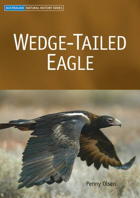 Wedge-tailed Eagle(English, Electronic book text, Olsen Penny)