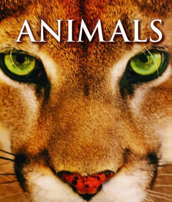 Animals(English, Paperback, unknown)