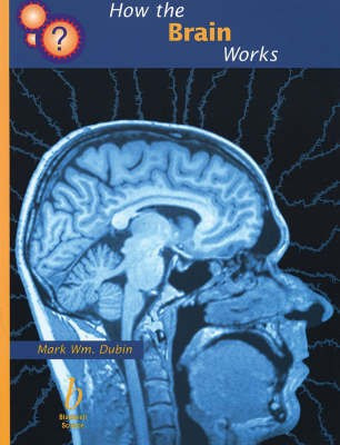 How the Brain Works(English, Paperback, Dubin Mark)