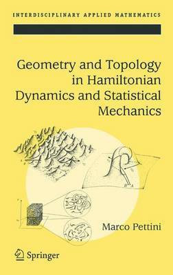 Geometry and Topology in Hamiltonian Dynamics and Statistical Mechanics(English, Electronic book text, Pettini Marco)