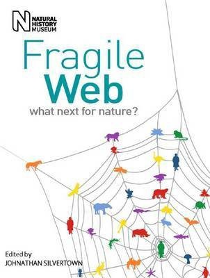 Fragile Web(English, Paperback, unknown)