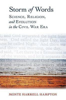 Storm of Words(English, Electronic book text, unknown)