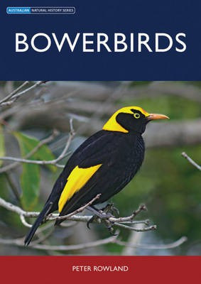 Bowerbirds(English, Electronic book text, Rowland Peter)
