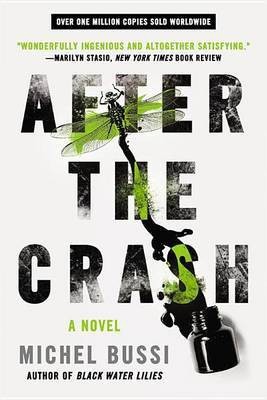 After the Crash(English, Electronic book text, Bussi Michel)