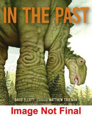 In the Past(English, Hardcover, Elliott David)