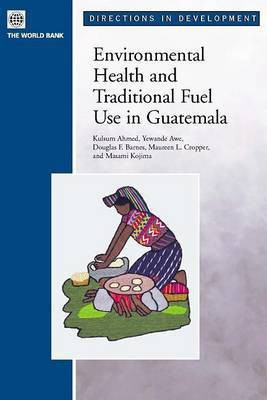 Environmental Health and Traditional Fuel Use in Guatemala(English, Electronic book text, Ahmed Kulsum)