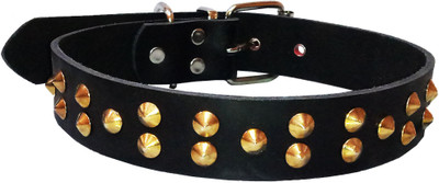 

Petshop7 Export Quality PU Leather Dog Collar with Spiked 1.25in  Dog Everyday Collar(, Black