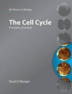 The Cell Cycle(English, Paperback, Morgan David)
