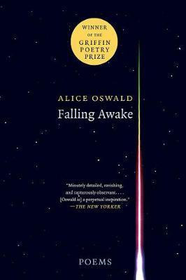 Falling Awake(English, Electronic book text, Oswald Alice)