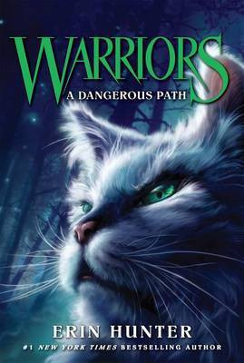 A Dangerous Path(English, Electronic book text, Hunter Erin)