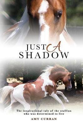 Just A Shadow(English, Paperback, Curran Amy)