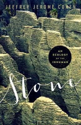 Stone(English, Hardcover, Cohen Jeffrey Jerome)