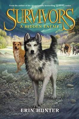 A Hidden Enemy(English, Electronic book text, Hunter Erin)