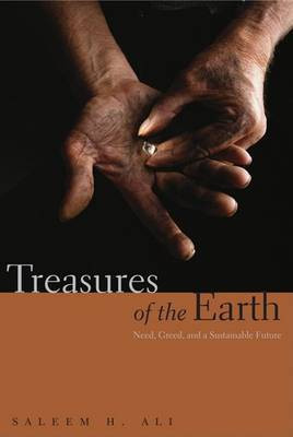 Treasures of the Earth(English, Electronic book text, Ali Saleem H.)