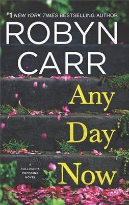 Any Day Now(English, Hardcover, Carr Robyn)