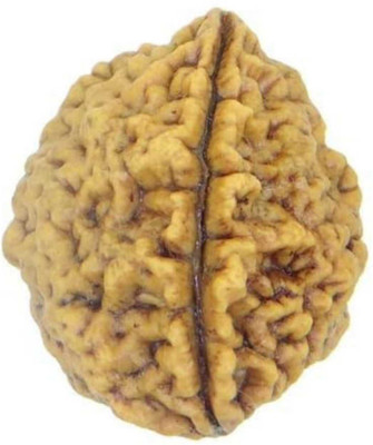 om rudraksha 2 mukhi rudraksha Wood Pendant