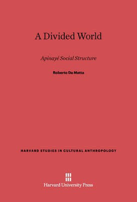 A Divided World(English, Electronic book text, Da Matta Roberto)