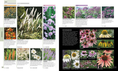 RHS Encyclopedia of Plants and Flowers(English, Hardcover, Brickell Christopher)