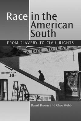 Race in the American South(English, Electronic book text, Brown David)