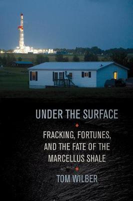 Under the Surface(English, Electronic book text, Wilber Tom)