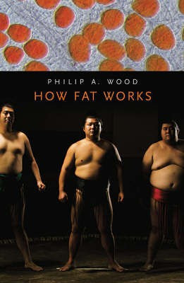 How Fat Works(English, Hardcover, Wood Philip A.)