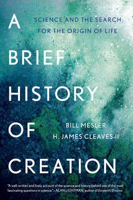 A Brief History of Creation(English, Electronic book text, Mesler Bill)