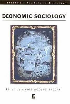 Readings in Economic Sociology(English, Electronic book text, unknown)