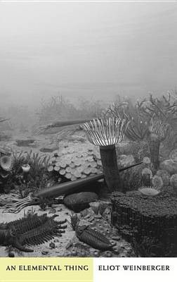 An Elemental Thing(English, Electronic book text, Weinberger Eliot)