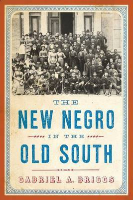 The New Negro in the Old South(English, Electronic book text, Briggs Gabriel A.)