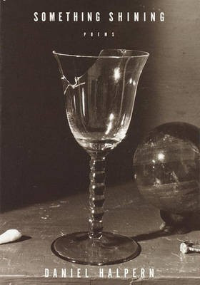 Something Shining(English, Electronic book text, Halpern Daniel)